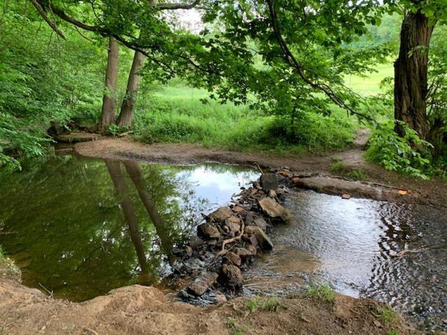 Готель "An Der Lindenberganlage" Мельзунґен Екстер'єр фото